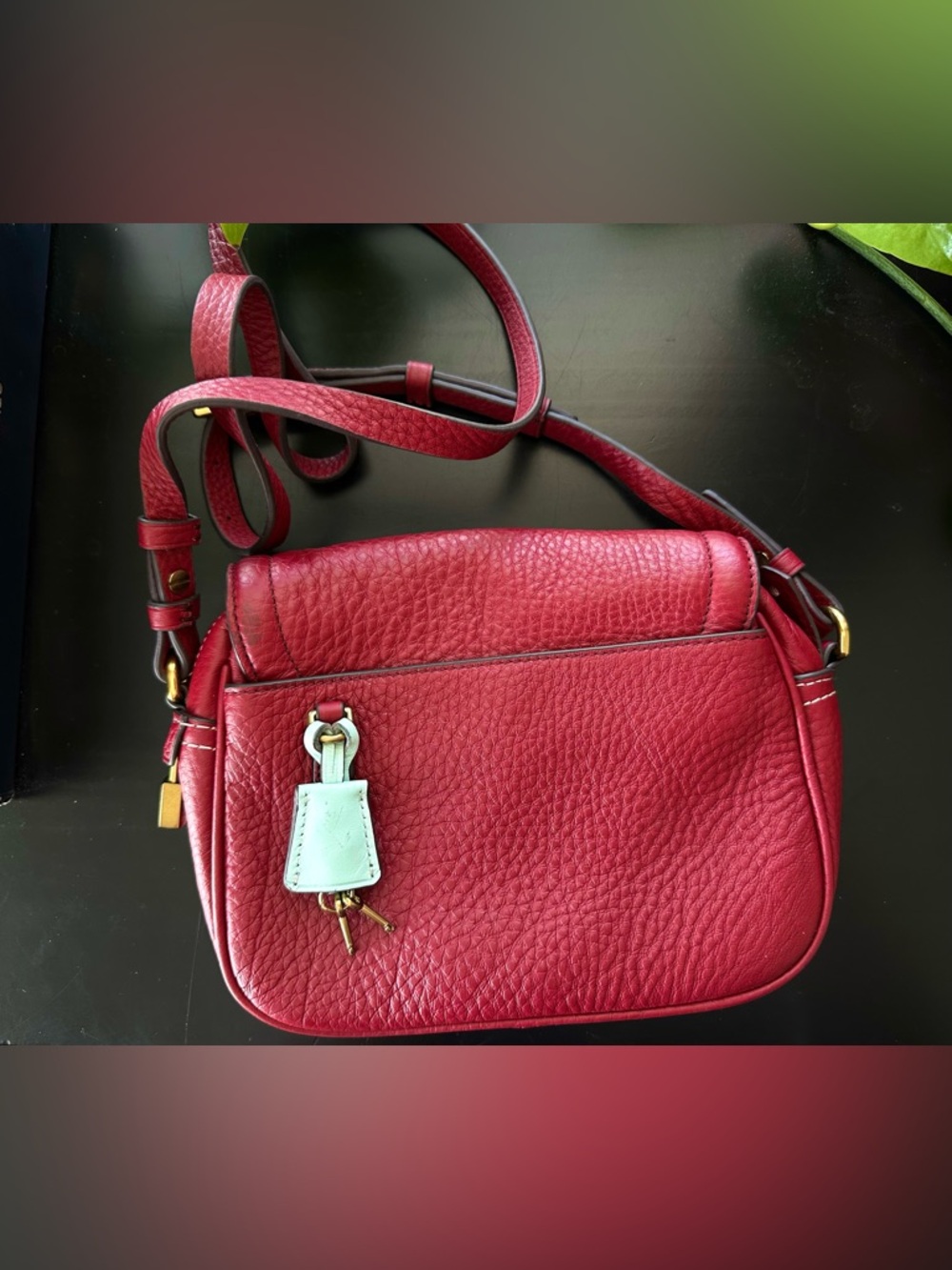 J. Crew Lock & Key Crossbody - Picture 3 of 13